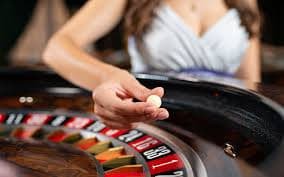 payungtoto slot Colok Naga betting interface showing stake entry, outcome selection, and paytable display